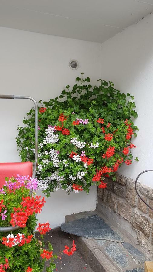 Garni Monika Bed & Breakfast Canazei Eksteriør bilde